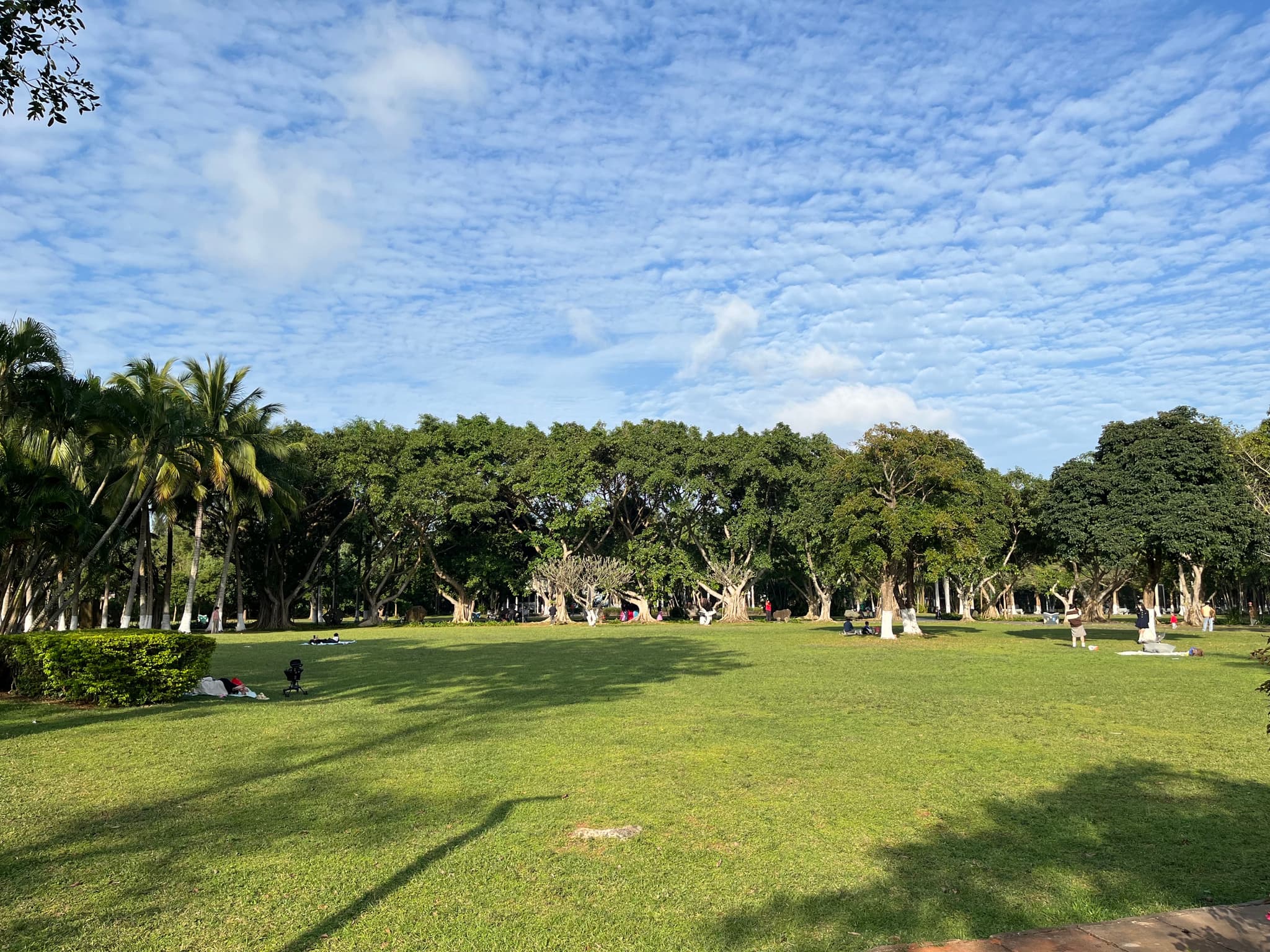 A wide, green lawn stretches out towards a line of trees under a cloudy sky