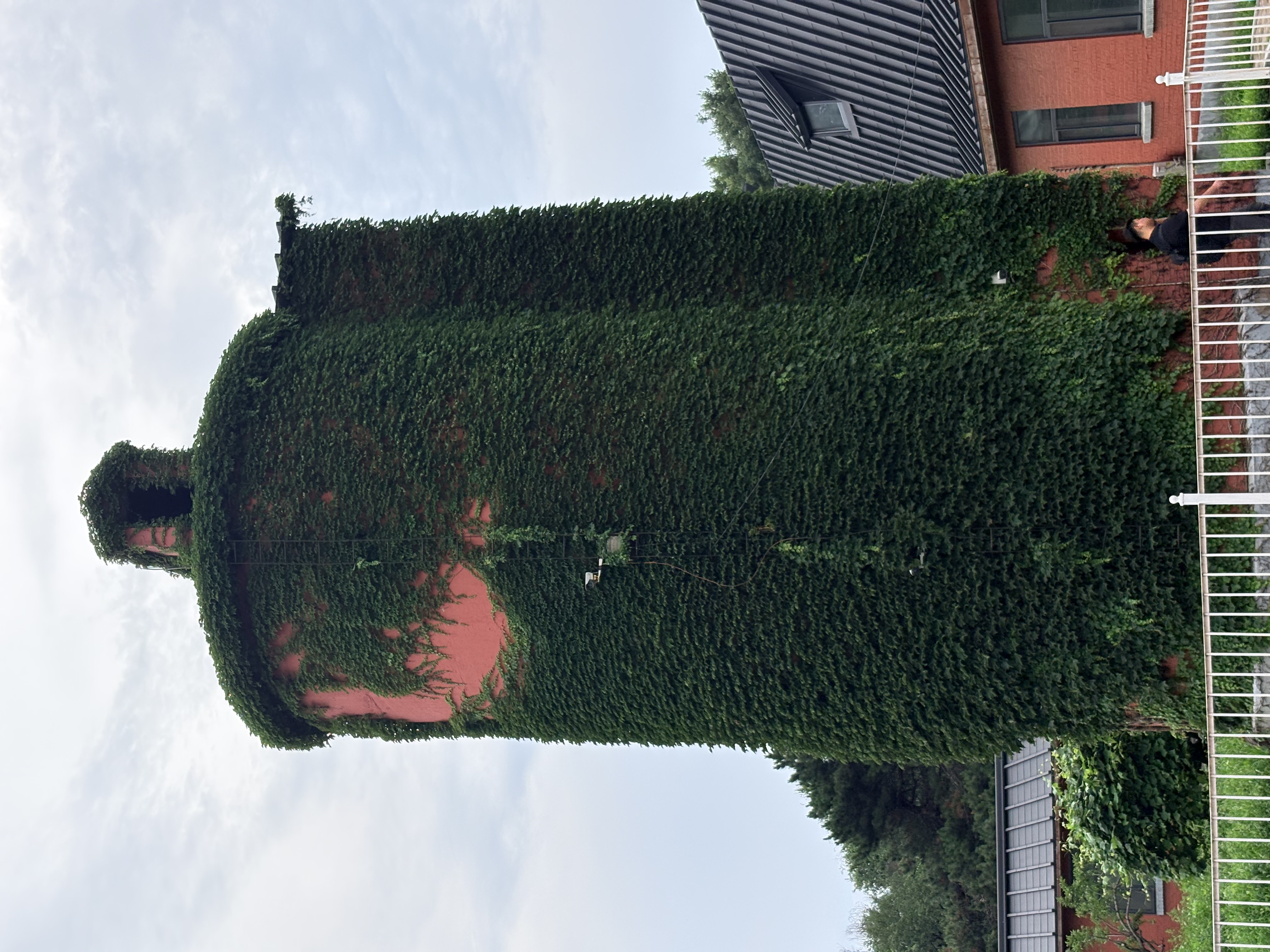 Ivy-covered cylindrical tower beside a red building and white fence
