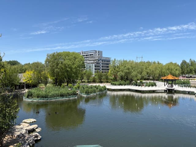 A serene park with a pond, surrounded by trees, a small pavilion, and a modern building in the background under a clear blue sky