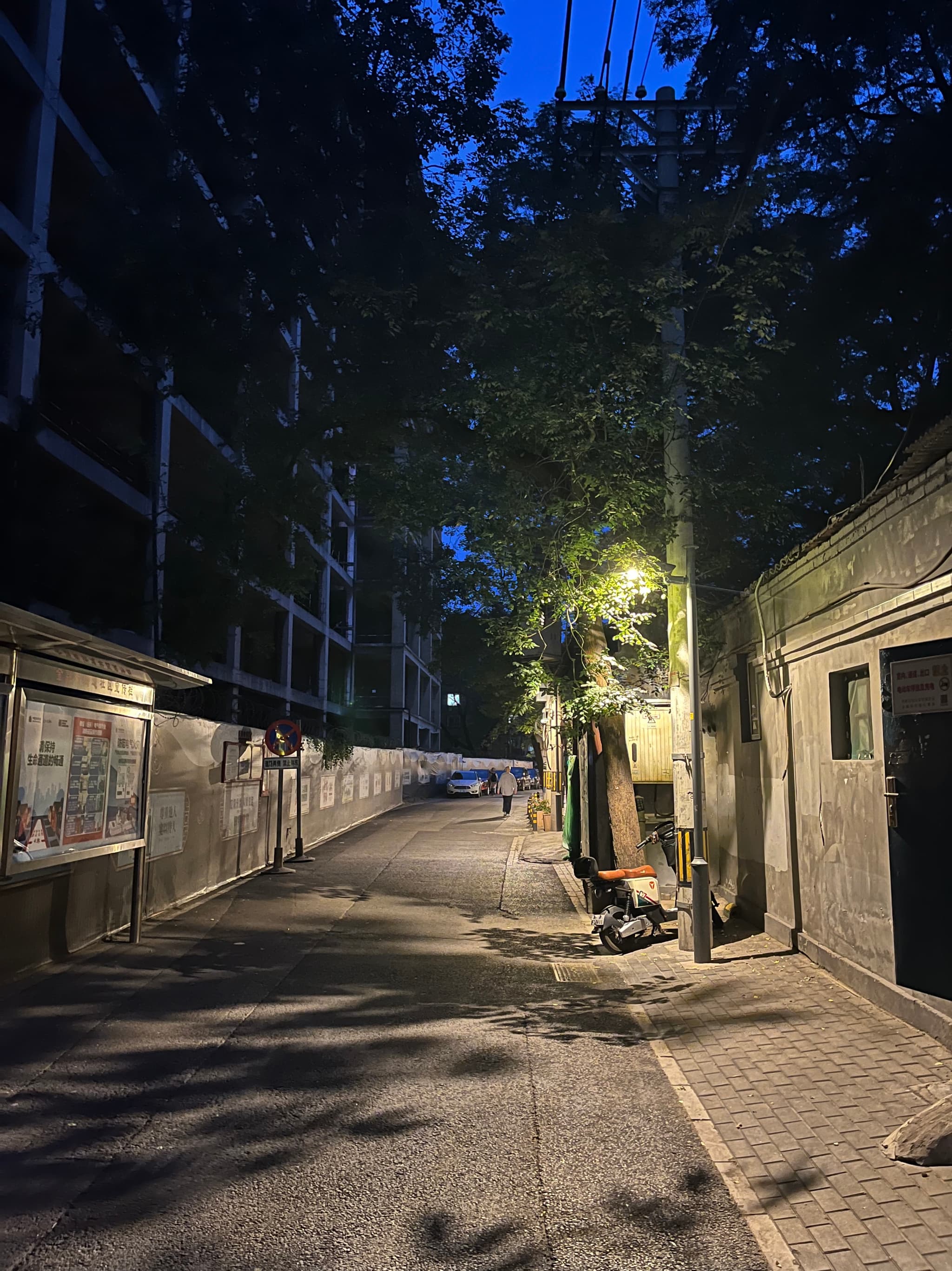 A narrow alleyway is illuminated by a streetlight casting long shadows on the pavement, with trees and buildings on either side under a dark blue sky