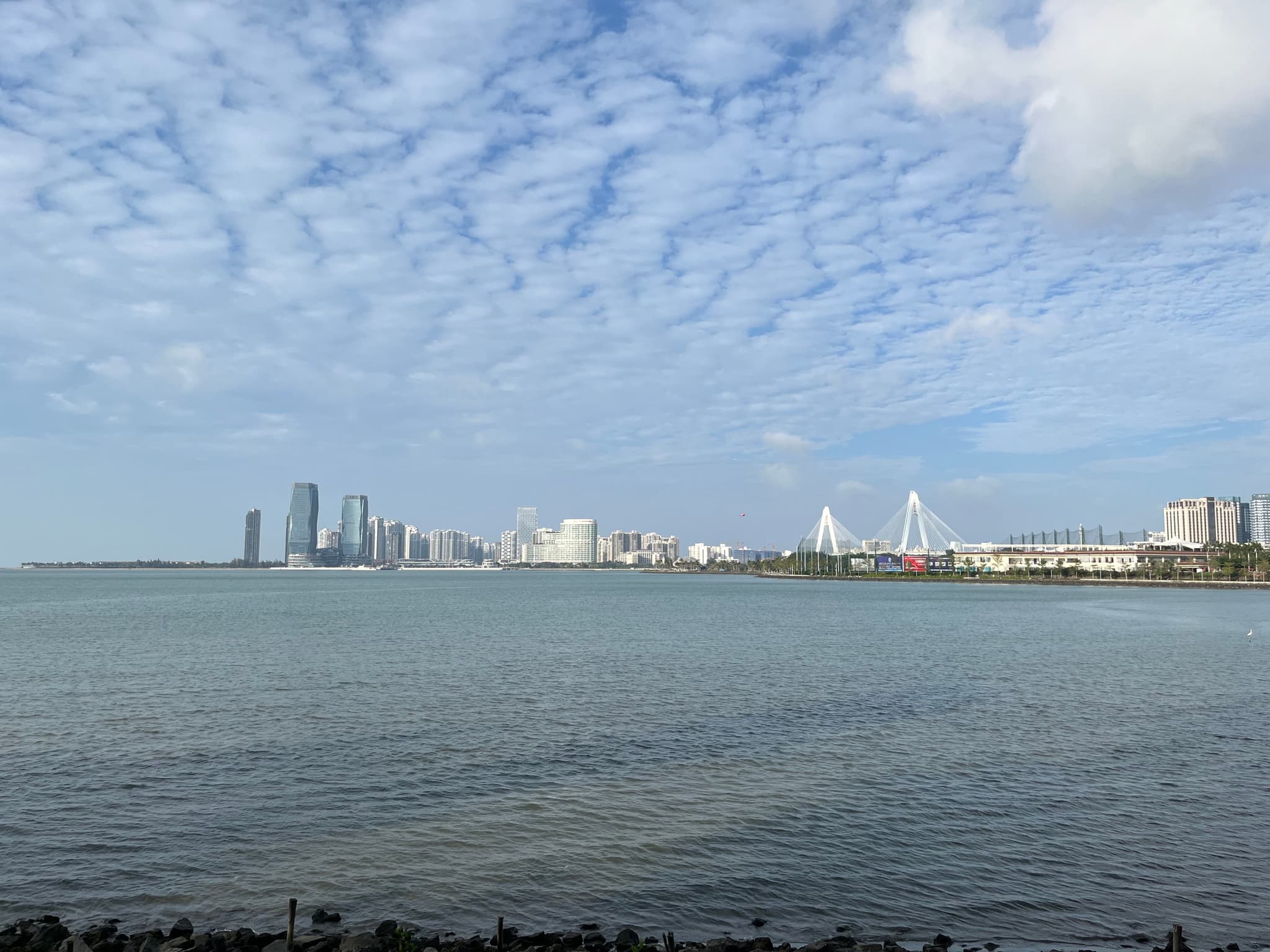 海滨城市远景，远处可见高楼林立的城市天际线和一座跨海大桥。
