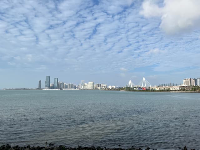 海滨城市远景，远处可见高楼林立的城市天际线和一座跨海大桥。