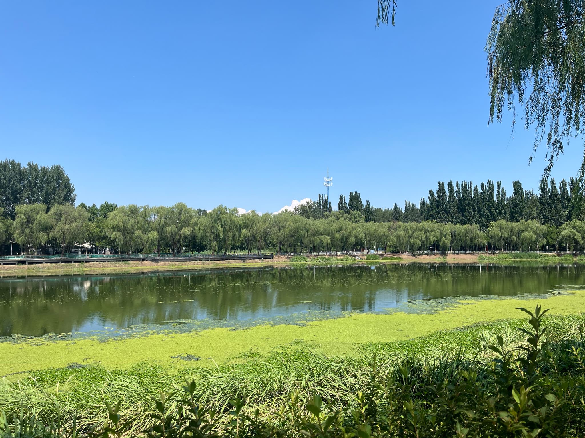 A serene landscape with a calm river reflecting trees, greenery, and a clear blue sky, viewed upside down