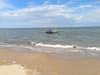 Small fishing boat floating offshore beyond gentle waves on a sandy beach