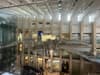 A whale skeleton is suspended from the ceiling in a museum exhibit